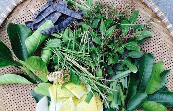 Cách Nấu Dầu Gội Đầu Thảo Dược: Hướng Dẫn Cụ Thể Chi Tiết 3 Cách Nấu Dầu Gội Đầu Thảo Dược: Hướng Dẫn Cụ Thể Chi Tiết 2