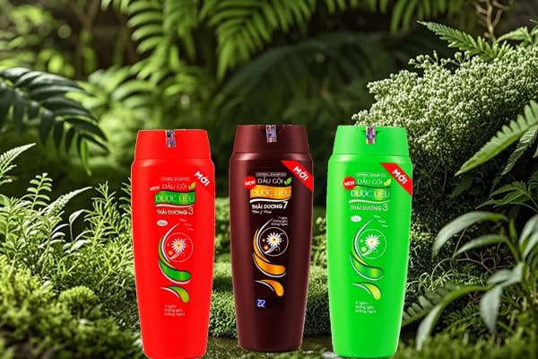 Review dầu gội Thái Dương 3 và 7 khác gì nhau - Tìm hiểu chi tiết để chọn đúng sản phẩm 4 Review dầu gội Thái Dương 3 và 7 khác gì nhau - Tìm hiểu chi tiết để chọn đúng sản phẩm 3
