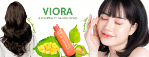 Giới thiệu 1 Giới thiệu Viora