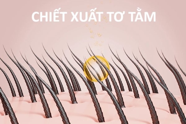 Khám phá 5 thành phần trong công thức dưỡng tóc Rescicin-SE® 35 Khám phá 5 thành phần trong công thức dưỡng tóc Rescicin-SE®