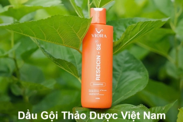 Top 5 Dầu Gội Thảo Dược Việt Nam Tốt Nhất 2025 25 Top 5 Dầu Gội Thảo Dược Việt Nam Tốt Nhất 2025