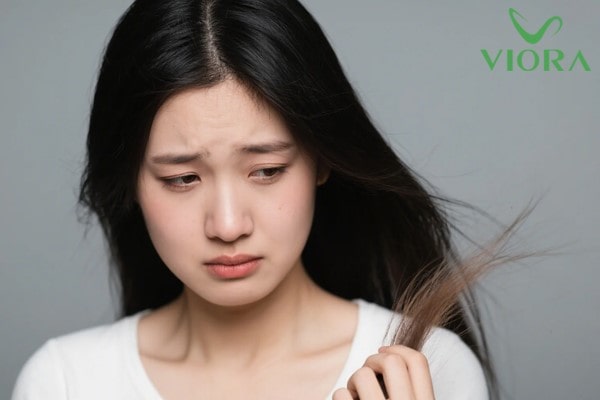 Cách Dưỡng Tóc Khô Xơ Hiệu Quả Giúp Tóc Mềm Mượt Tự Nhiên Trở Lại 3 Cách Dưỡng Tóc Khô Xơ Hiệu Quả Giúp Tóc Mềm Mượt Tự Nhiên Trở Lại 2