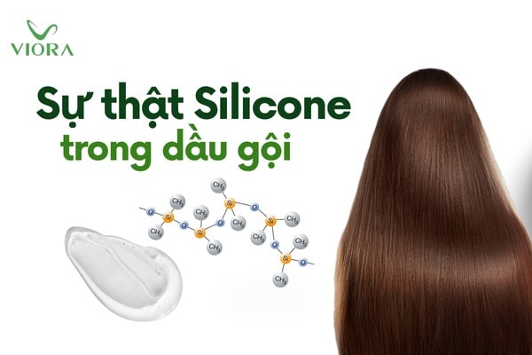 Có nên dùng dầu gội chứa Silicon? Giải mã bí ẩn đằng sau mái tóc suôn mượt