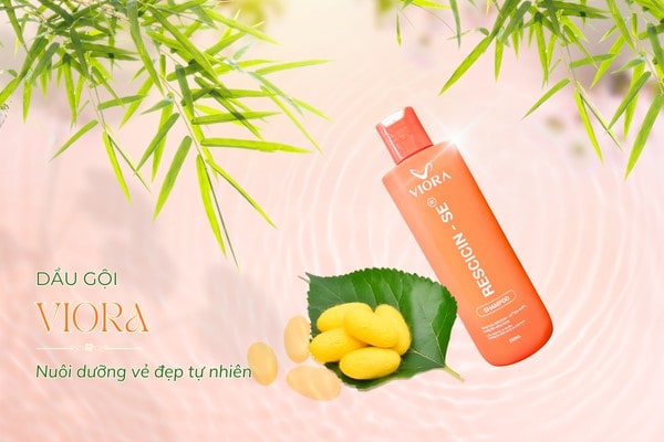 Dầu gội nào dùng cho tóc khô xơ? Điểm danh 05 dầu gội giúp dưỡng tóc mềm mượt 