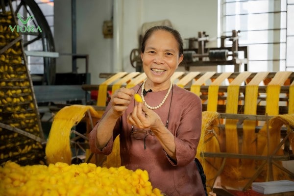 Nghệ nhân ưu tú Phan Thị Thuận - Người thổi hồn vào từng chiếc kén tằm vàng 1 Nghệ nhân ưu tú Phan Thị Thuận - Người thổi hồn vào từng chiếc kén tằm vàng