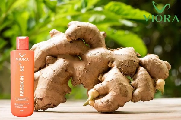 Chiết Xuất Gừng Trong Dầu Gội Viora: Lợi Ích Thật Sự Là Gì? 4 Chiết Xuất Gừng Trong Dầu Gội Viora: Lợi Ích Thật Sự Là Gì? 3