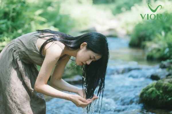 Dầu gội chiết xuất từ thiên nhiên: Giải pháp an toàn cho mái tóc khỏe mạnh 2