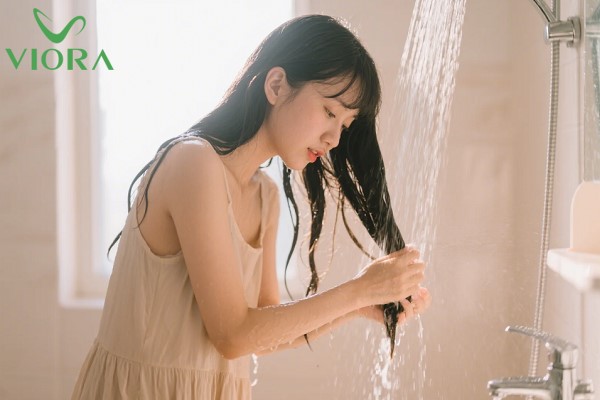 Dầu gội đầu nào tốt cho tóc khô? Cách lựa chọn sản phẩm phù hợp nhất 3 Dầu gội đầu nào tốt cho tóc khô? Cách lựa chọn sản phẩm phù hợp nhất 2