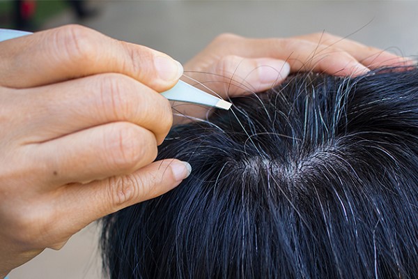 Có Nên Nhổ Tóc Bạc? Giải Đáp Từ Chuyên Gia Để Bảo Vệ Mái Tóc 33 Có Nên Nhổ Tóc Bạc? Giải Đáp Từ Chuyên Gia Để Bảo Vệ Mái Tóc