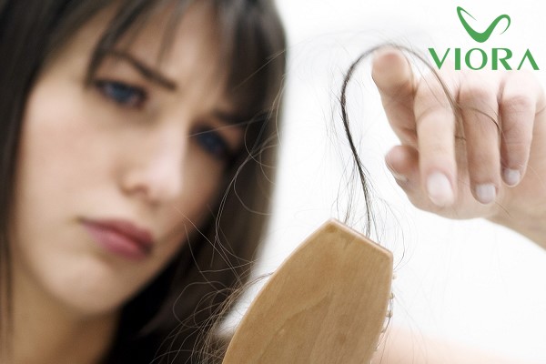 Tóc vuốt nhẹ đã rụng có phải là dấu hiệu tóc đã hư tổn nặng? 3 Tóc vuốt nhẹ đã rụng có phải là dấu hiệu tóc đã hư tổn nặng? 2