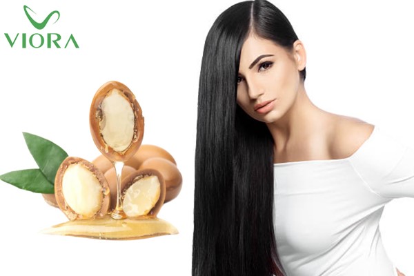Argan Oil: Dưỡng chất tự nhiên cho mái tóc khỏe đẹp trong dầu gội Viora