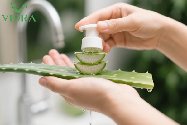 Cách dùng nha đam gội đầu giúp tóc suôn mượt và chắc khỏe 4 Cách dùng nha đam gội đầu giúp tóc suôn mượt và chắc khỏe 3