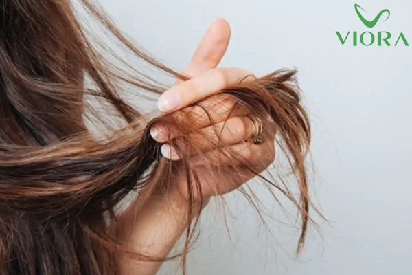 Dầu gội giảm khô xơ chẻ ngọn cho tóc là gì? Thành phần như thế nào? 2 Dầu gội giảm khô xơ chẻ ngọn cho tóc là gì? Thành phần như thế nào? 1