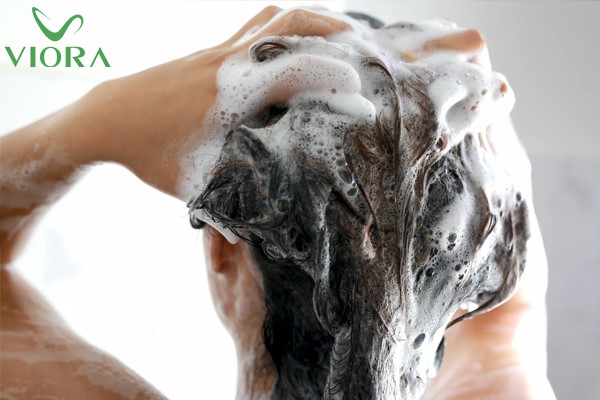 Dầu gội làm sạch gàu: Thành phần và cách lựa chọn đúng sản phẩm 2 Dầu gội làm sạch gàu: Thành phần và cách lựa chọn đúng sản phẩm 1