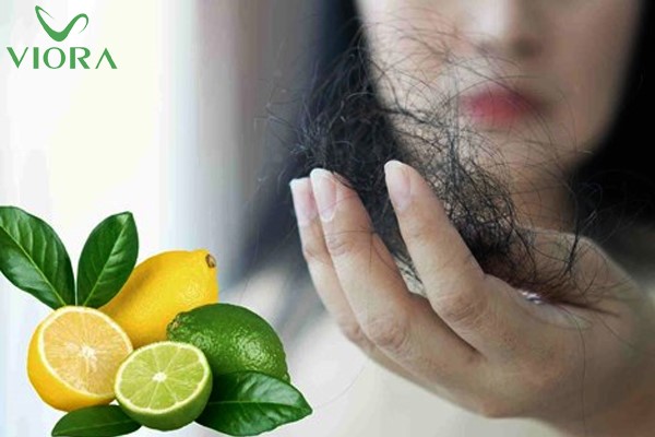 Vai trò của thành phần Acid Citric trong các sản phẩm dầu gội đầu 4 Vai trò của thành phần Acid Citric trong các sản phẩm dầu gội đầu 3
