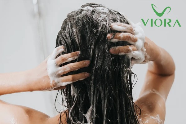 Chọn dầu gội làm sạch tóc, da đầu thế nào cho phù hợp? 25 Chọn dầu gội làm sạch tóc, da đầu thế nào cho phù hợp?