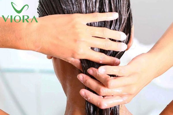 Hướng dẫn lựa chọn dầu gội dưỡng ẩm tóc và da đầu an toàn, hiệu quả 3 Hướng dẫn lựa chọn dầu gội dưỡng ẩm tóc và da đầu an toàn, hiệu quả 3