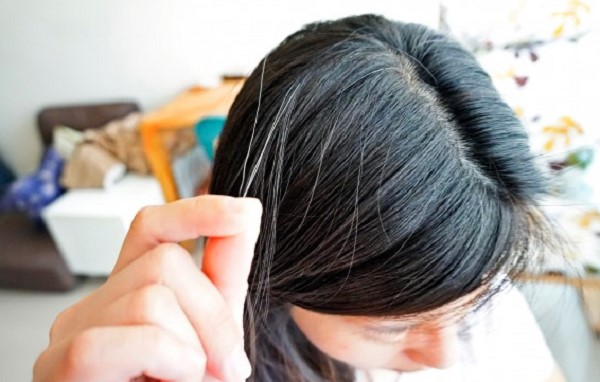 Nhổ tóc bạc có hại không? Tìm hiểu kỹ lưỡng trước khi thực hiện 2 Nhổ tóc bạc có hại không? Tìm hiểu kỹ lưỡng trước khi thực hiện 2