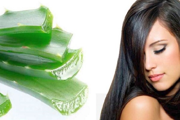 Nha Đam Trị Gàu Có Hiệu Quả Không? 3