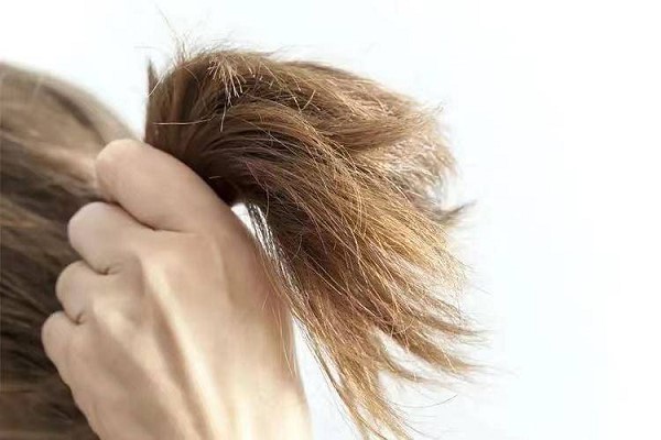 Tóc Khô Xơ Nên Làm Gì? Bí Quyết Phục Hồi Tóc Mềm Mượt, Khỏe Mạnh 16 Tóc Khô Xơ Nên Làm Gì? Bí Quyết Phục Hồi Tóc Mềm Mượt, Khỏe Mạnh