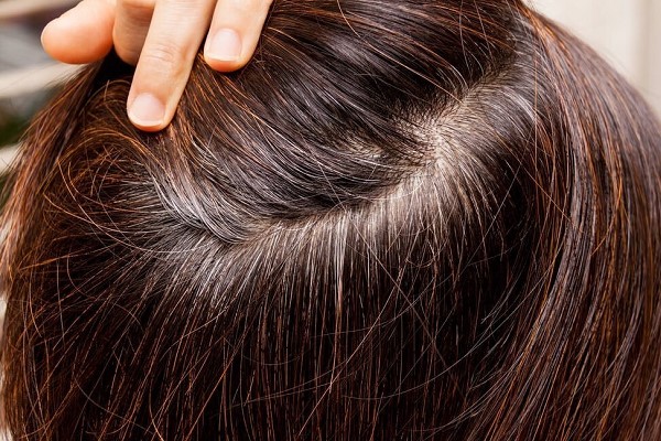 Tóc Bạc Nên Nhuộm Màu Gì? Gợi Ý Màu Tóc Đẹp, Phù Hợp Với Từng Độ Tuổi 3 Tóc Bạc Nên Nhuộm Màu Gì? Gợi Ý Màu Tóc Đẹp, Phù Hợp Với Từng Độ Tuổi 3