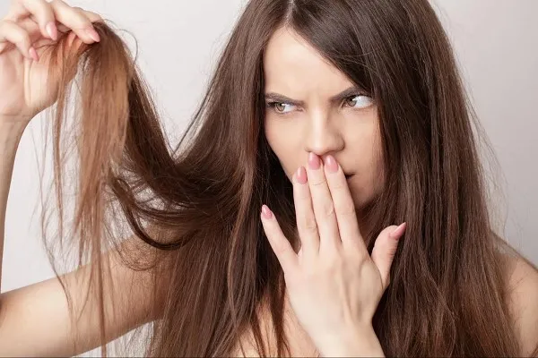 Dầu Gội Cho Tóc Khô Xơ: Bí Quyết Lựa Chọn & Top Sản Phẩm Hiệu Quả Nhất