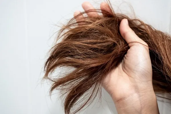 Làm Sao Để Tóc Hết Khô Và Chẻ Ngọn? 1 Làm Sao Để Tóc Hết Khô Và Chẻ Ngọn?