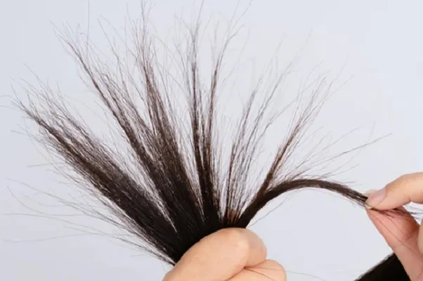 Làm Sao Để Tóc Hết Khô Và Chẻ Ngọn? 2 Làm Sao Để Tóc Hết Khô Và Chẻ Ngọn? 2